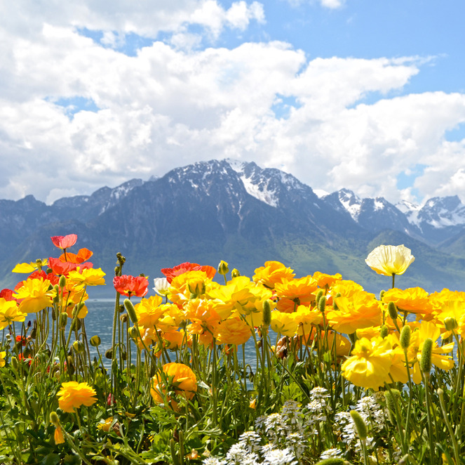 Best travel destinations in the world