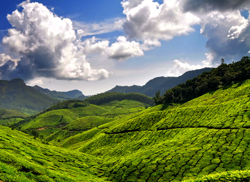 Kerala Tour Package: Munnar